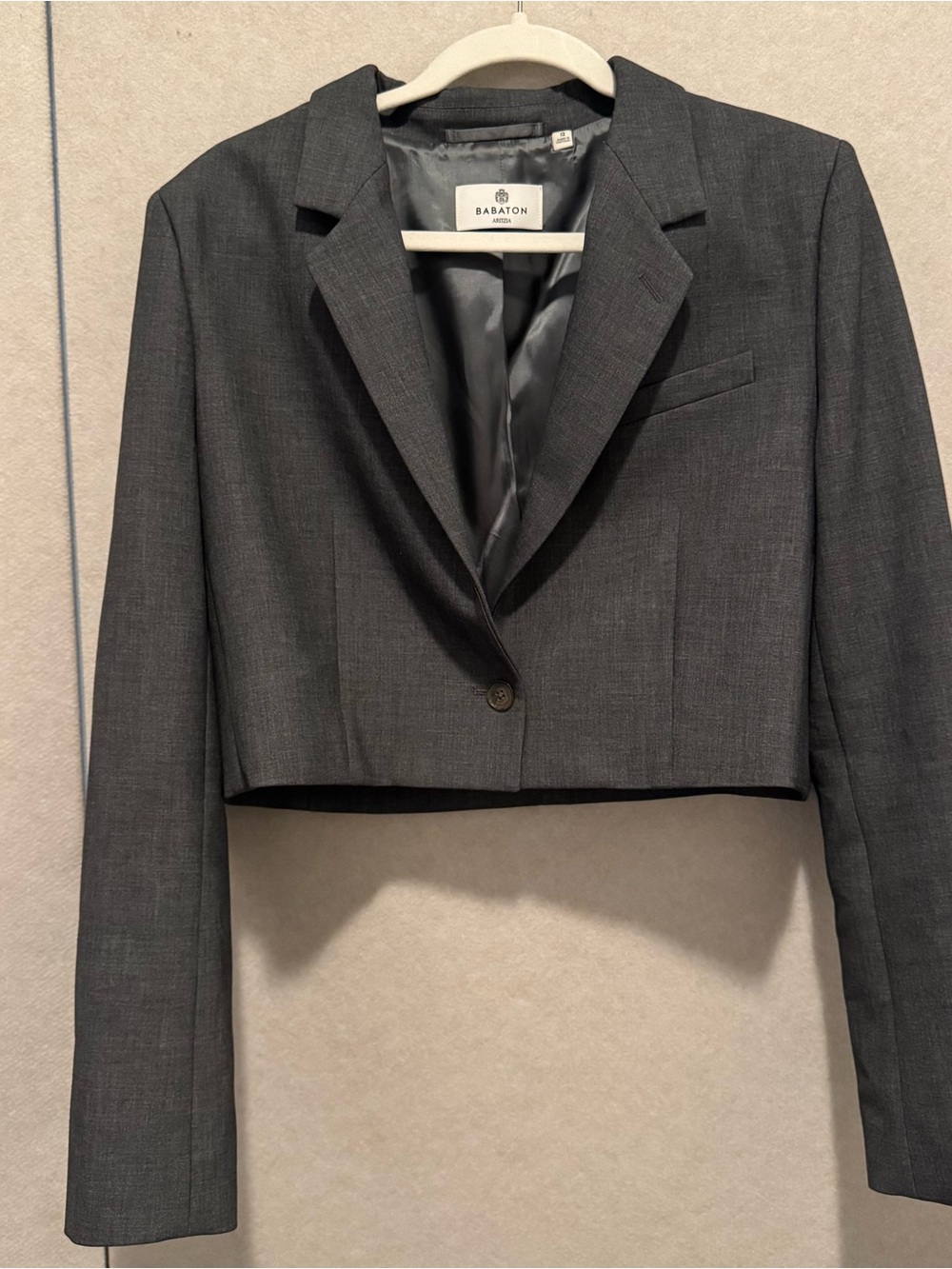 Babaton by Aritzia Cropped Blazer